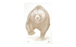 ACTION TGT AK STATE PARK BEAR 100PK