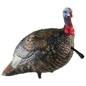 Avian-X LCD Quarter-Strut Jake Turkey Decoy
